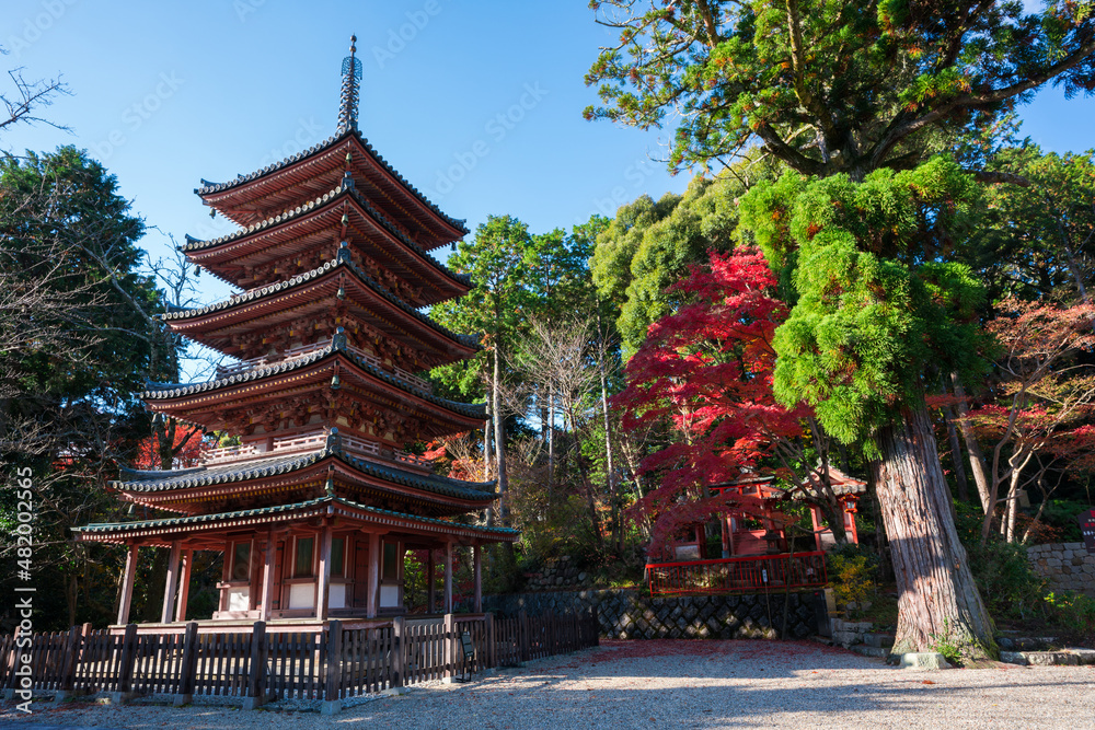 京都　海住山寺（かいじゅうせんじ）の五重塔と紅葉