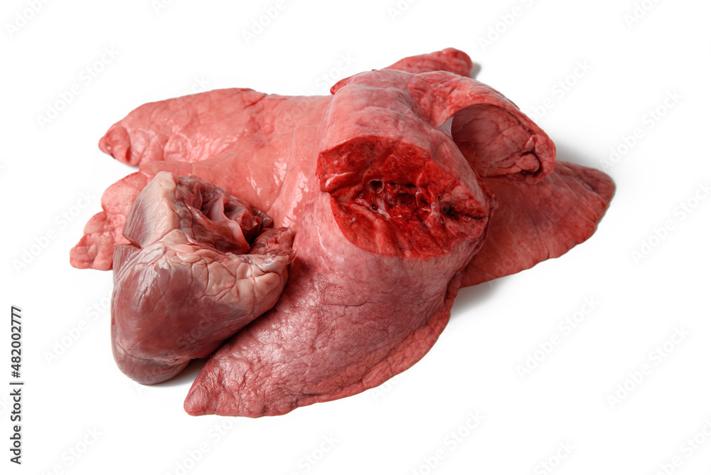 Raw pork lungs and heart on white background. Fresh healthy giblets before cooking. Closeup.