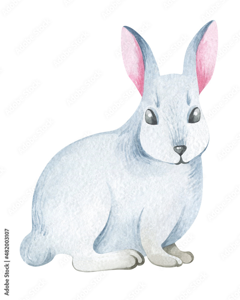 Obraz premium Watercolor illustration. Childish illustration of cute north pole animals. Wild animals and birds of the Arctic. For the design of holiday cards, birthday, sublimation, children's design, stickers.