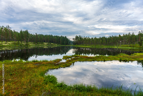 View across a small forest lake with dead calm water
