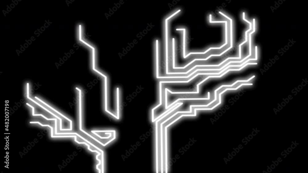 Circuit board self drawing animation. Glowing lines on black background ...