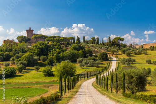 Typical Tuscan landscape near Montepulciano and Monticchielo, Italy photo