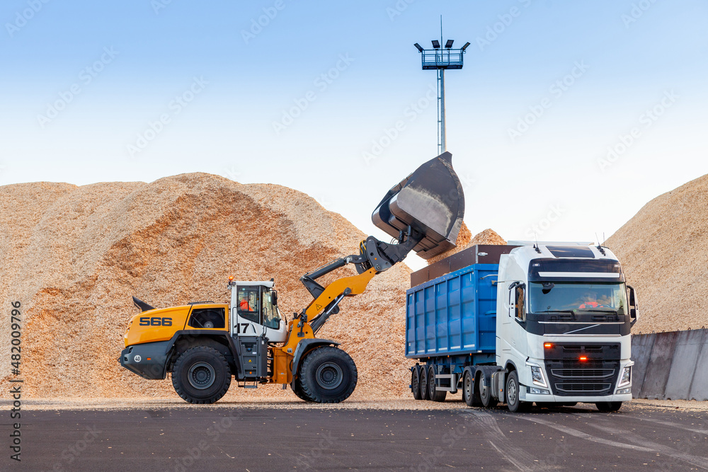 Naklejka premium Wood chips storage in timber terminal. Sawdust. 