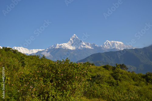 The beautiful Mountain Annapurna and Fishtail in Pokhara