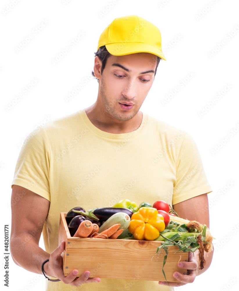 The concept of shopping delivery isolated on white background The concept of shopping delivery isolated on white background