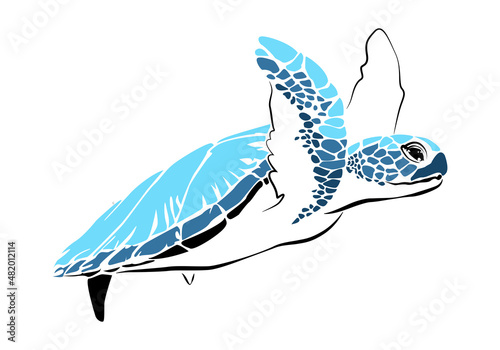 graphic sea turtle,vector illustration of sea turtle,vector of turtle design on a white background