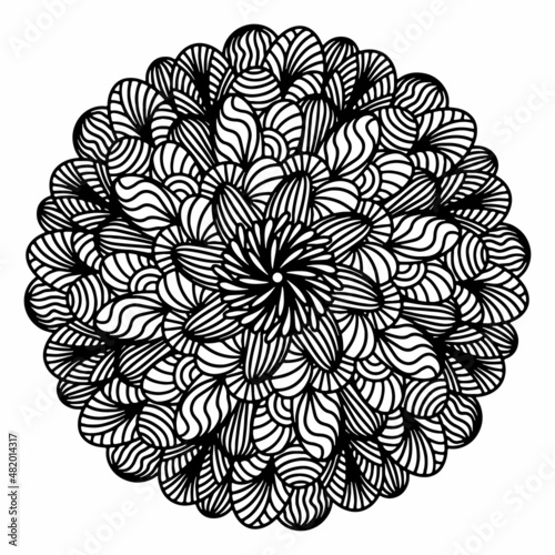 Floral, hand drawn aster mandala flowers in doodle style isolated on white background. Funny and cute coloring for seasonal design, textile, decoration kids playroom or greeting card. Chrysanthemum.