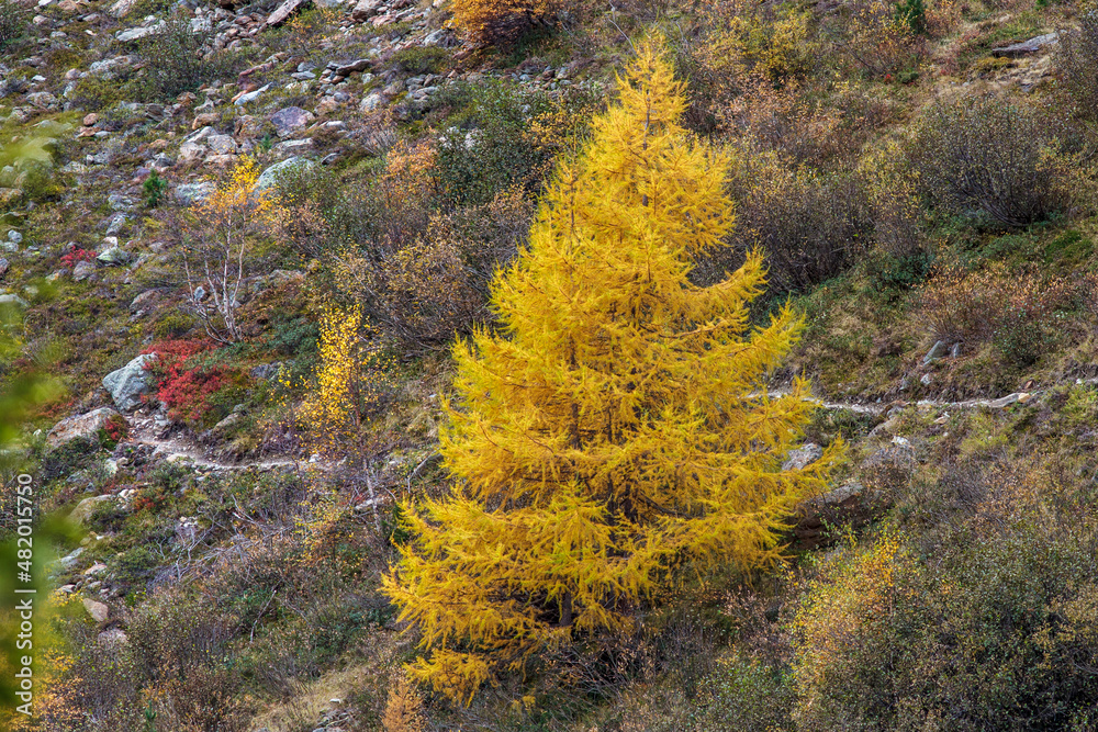 Ferner Gries, Landschaft im Kaunertal, Österreich Ferner Gries, Landschaft im Kaunertal, Österreich
