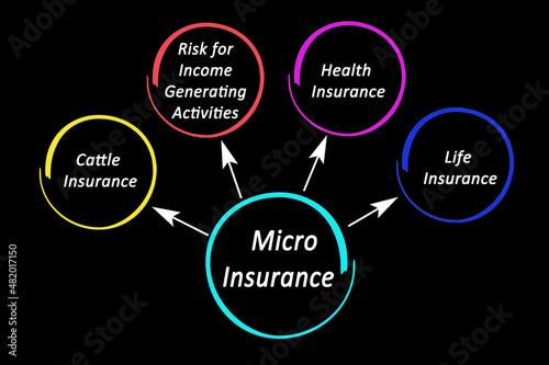 Four Applications for Micro Insurance . photo