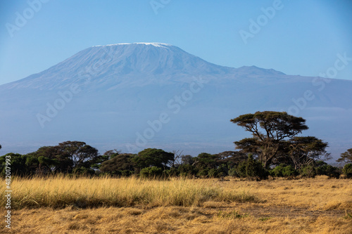 KENYA - AUGUST 16, 2018: Mt Kilimanjaro in Amboseli National Park © Denys