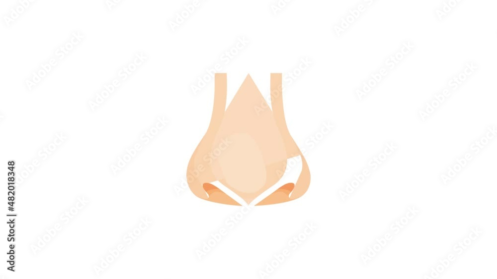 Human nose icon animation best cartoon object on white background Human nose icon animation best cartoon object on white background
