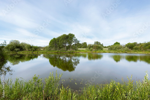 A picturesque pond with overgrown green banks and clouds in the blue sky. Sunny summer morning. © sema001