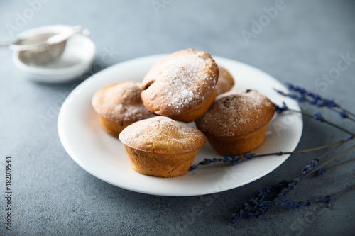 Homemade lavender muffins with icing sugar