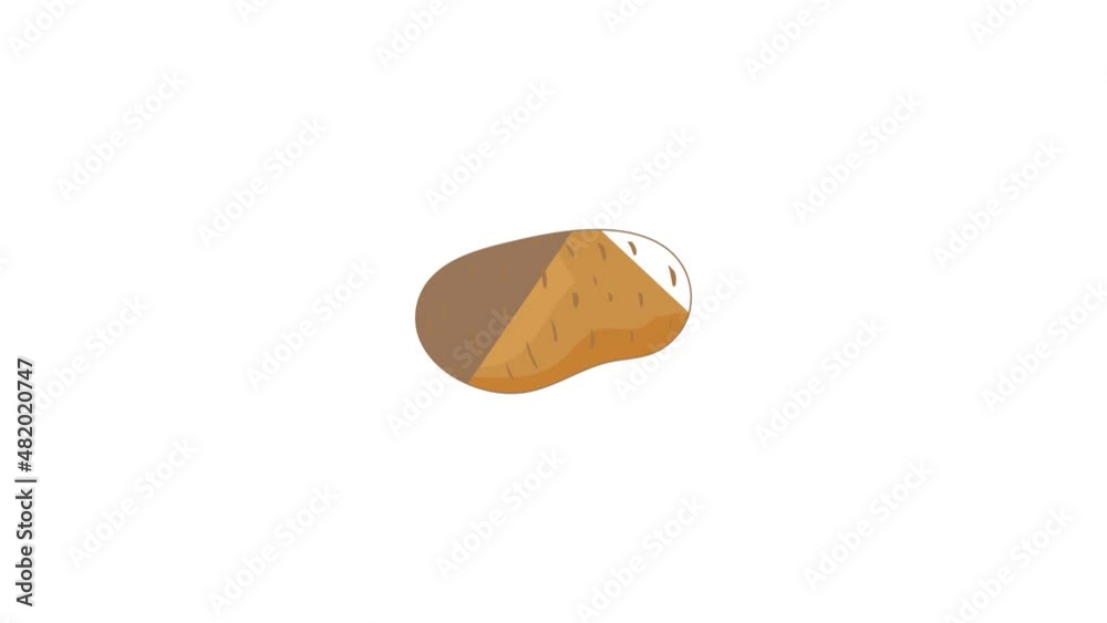 Fresh potato icon animation best cartoon object on white background Fresh potato icon animation best cartoon object on white background