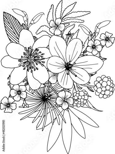 abstract, adult, anti stress, art, artistic, background, beautiful, beauty, black and white, blossom, botanical, botany, bouquet, bright, coloring book adult, coloring flower, coloring for kids, color