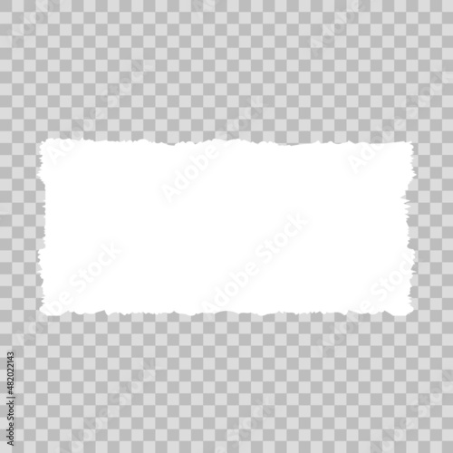 Paper torn. Pieces of blank paper texture, vector