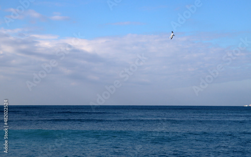 Beautiful seascape photo. Warm day in the beach. Calm blue water  clear sky  no people. 