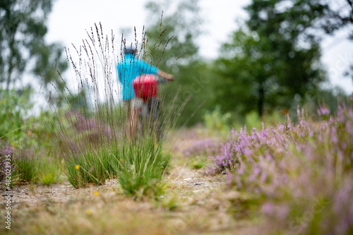 Radfahrerin auf einem Weg durch die Lüneburger Heide