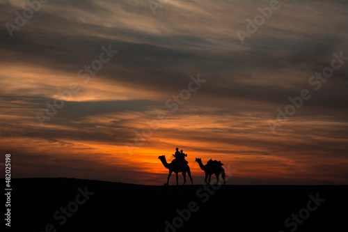 Camels walking over sand dunes against dramatic skies at Sam sand dunes