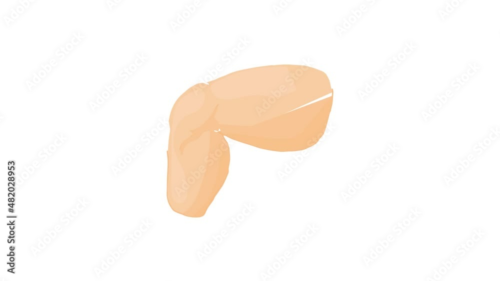 Human leg icon animation best cartoon object on white background Human leg icon animation best cartoon object on white background