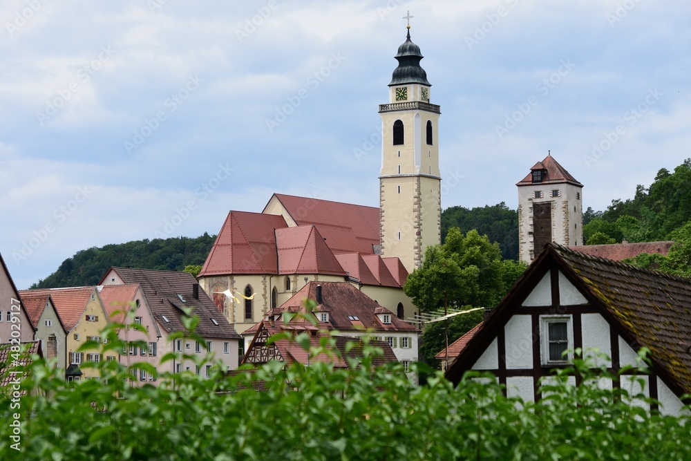 Blick auf die Stiftskirche Heilig -Kreuz in Horb am Neckar in Baden_Wuertemberg