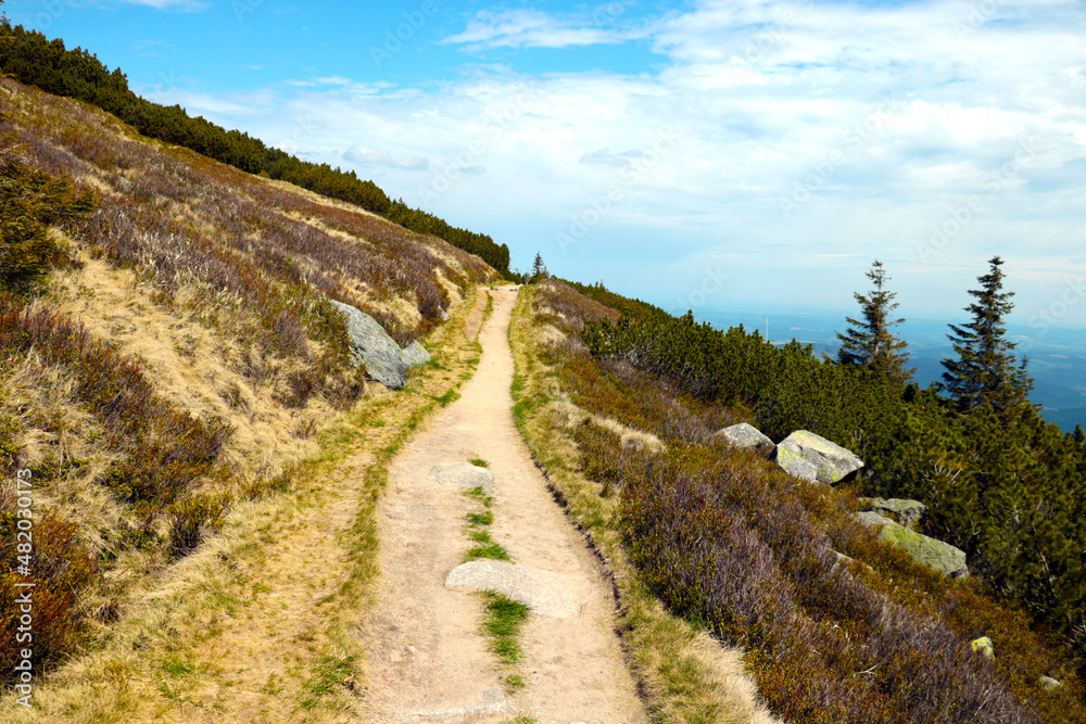 A path on the slope of the mountain for walking in the fresh air. Active sports.