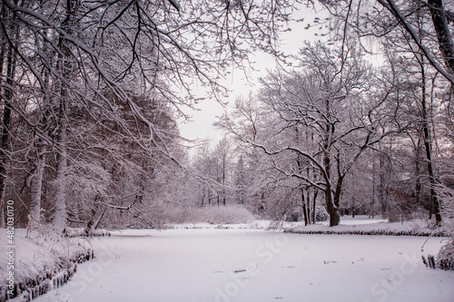Pejzaż zimowy, zamrożony staw i białe drzewa w parku  © anettastar