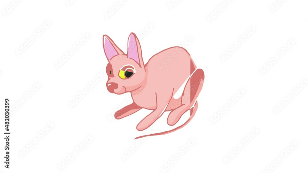 Cat icon animation best cartoon object on white background