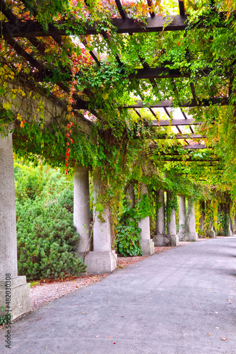 Beautiful concrete constructions and climbing flowers in the park. © Dzmitry