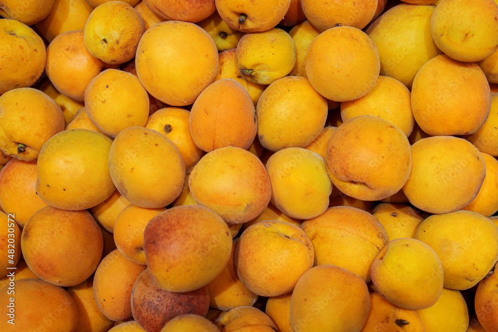 Lot of ripe apricots in the basket.