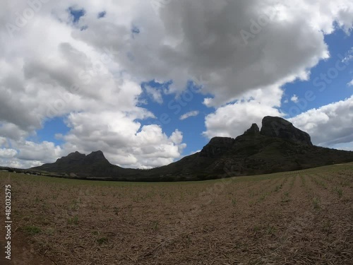 Footage of a sugarcane field and mountains in Mauritius