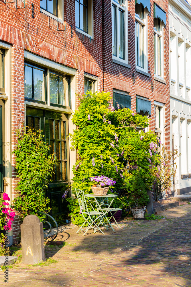 Urban greening with lots of plants and flowers in street in Alkmaar in North-Holland in The Netehrlands