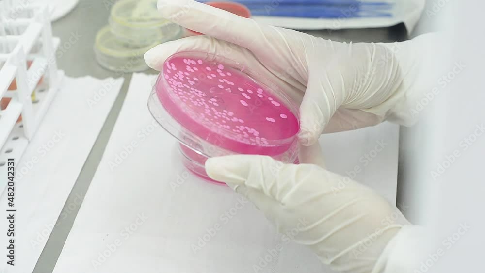 Muestra en el laboratorio de ciencia