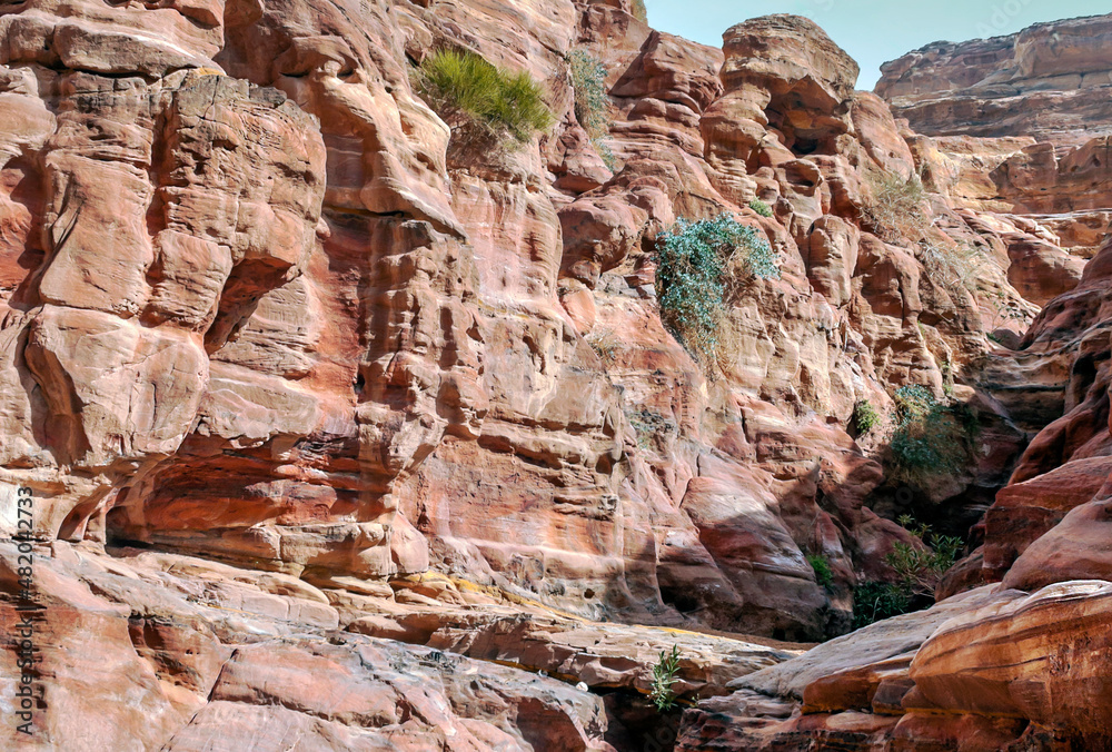 Ruins of the ancient city of Petra