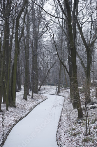Park zaśnieżony krajobraz zimowy  © Seance_Photo_Sylwia