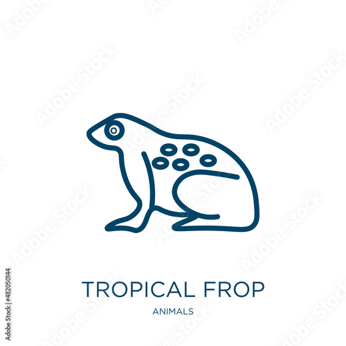 tropical frop icon from animals collection. Thin linear tropical frop, animals, tortoise outline icon isolated on white background. Line vector tropical frop sign, symbol for web and mobile photo