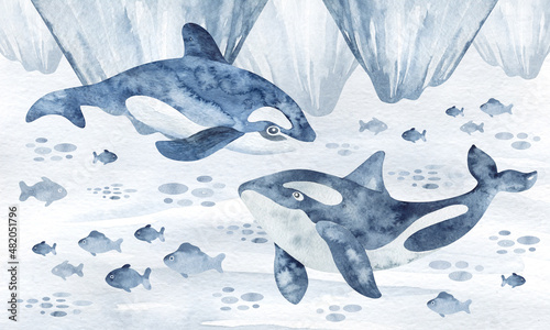 Watercolor illustration. Underwater world illustration. Killer whales in the northern ocean with fish among the ice.Design for sublimation, stickers, applique, illustration, drawing
