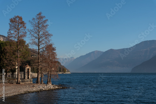Beach and trees on the west coast of Lake Iseo