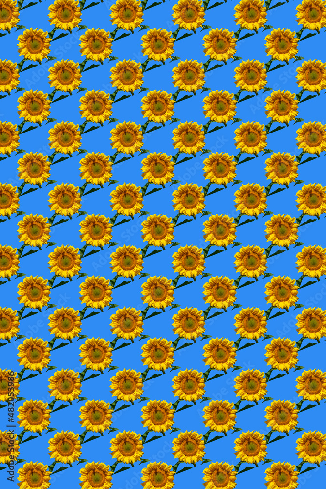 sunflowers flowers pattern design on light blue background. Pattern of yellow sunflowers.