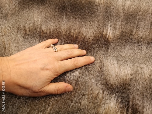 hand stroking furry carpet