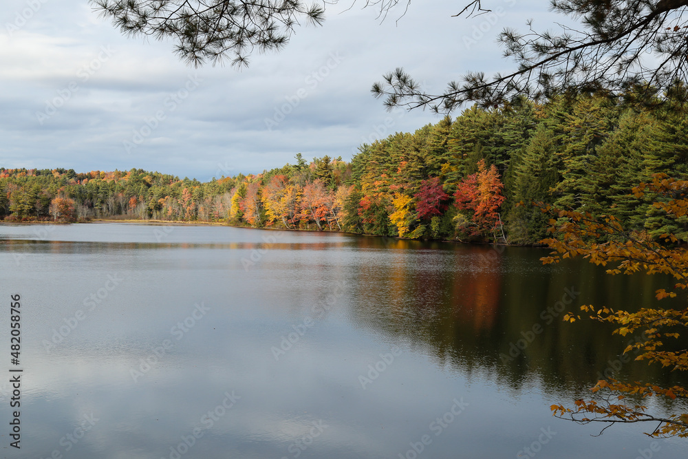 Cheshire Pond, Jaffrey, New Hampshire USA Stock Photo Adobe Stock
