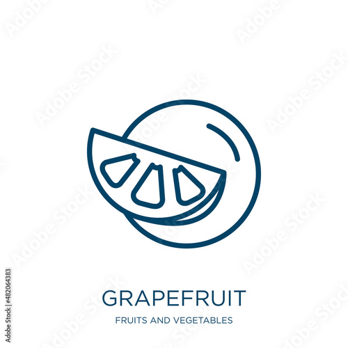 grapefruit icon from fruits and vegetables collection. Thin linear grapefruit, slice, vitamin outline icon isolated on white background. Line vector grapefruit sign, symbol for web and mobile