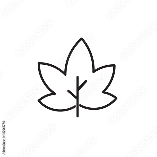 Maple leaf vector icon on white background. outline mapple leaf vector icon. isolated black simple line element illustration from ecology concept.