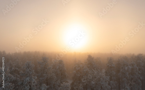 Bright sunrise over winter forest with fog. Aerial view landscape with snow covered pine forest. Beautiful morning frozen scenery.