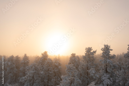Bright sunrise over winter forest with fog. Aerial view landscape with snow covered pine forest. Beautiful morning frozen scenery. © Aleksei