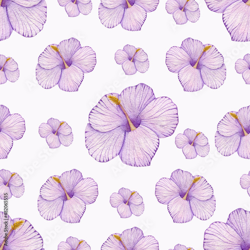 Watercolor pattern on a white background. Lilac hibiscus. Pastel shades. blooming bud