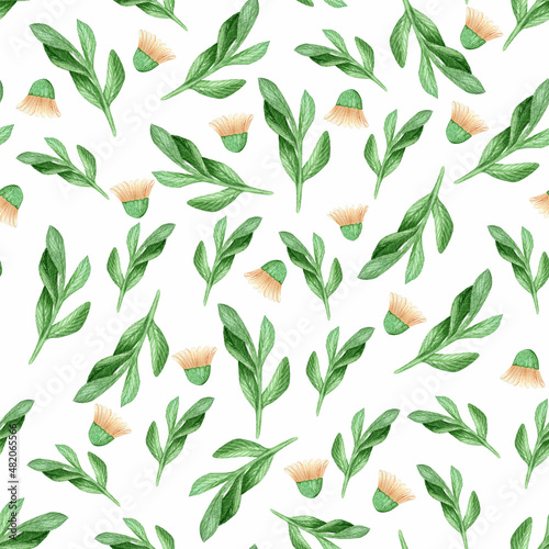 Bright green blades of grass and peach half-blown daisy flowers. Watercolor seamless pattern on white background