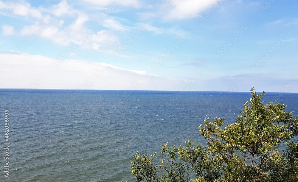 beautiful view of the turquoise blue sea and blue sky next to the bush beautiful view of the turquoise blue sea and blue sky next to the bush