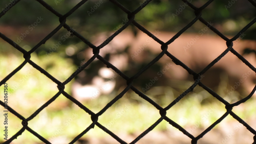 Fototapeta premium parque cultural ribeirao preto