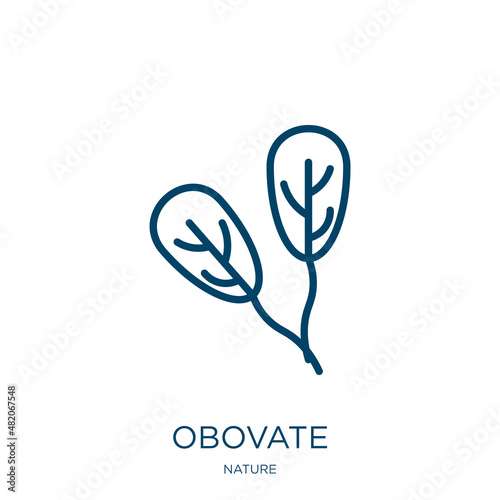 obovate icon from nature collection. Thin linear obovate, nature, fertilize clinic outline icon isolated on white background. Line vector obovate sign, symbol for web and mobile
